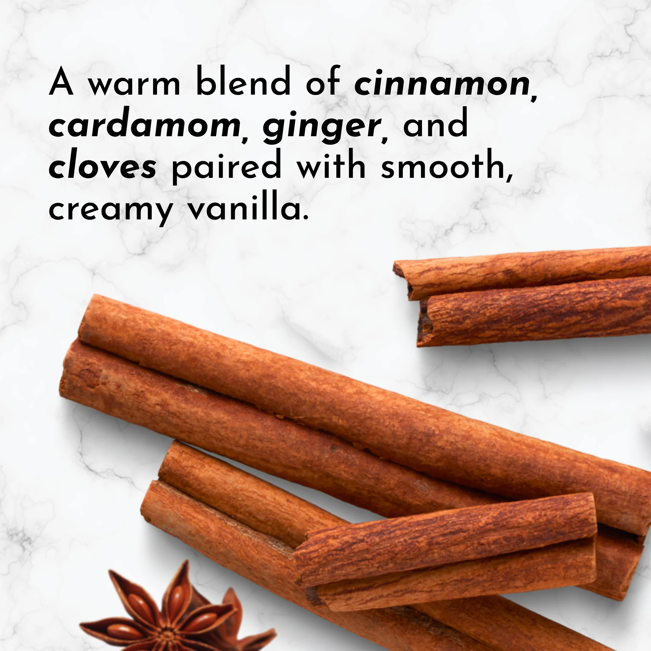 Chai Protein Powder - Image 10