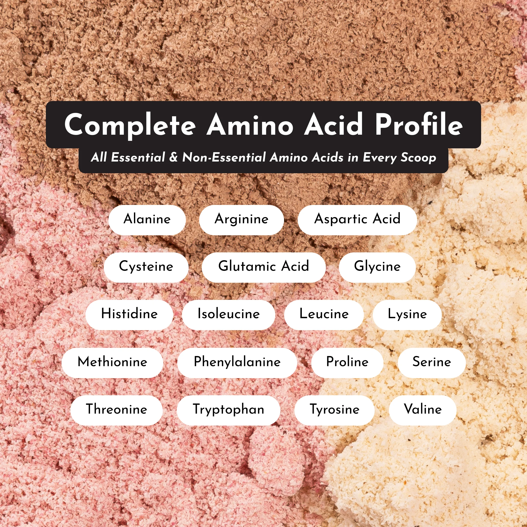 Coconut Chocolate Protein Powder - Image 9