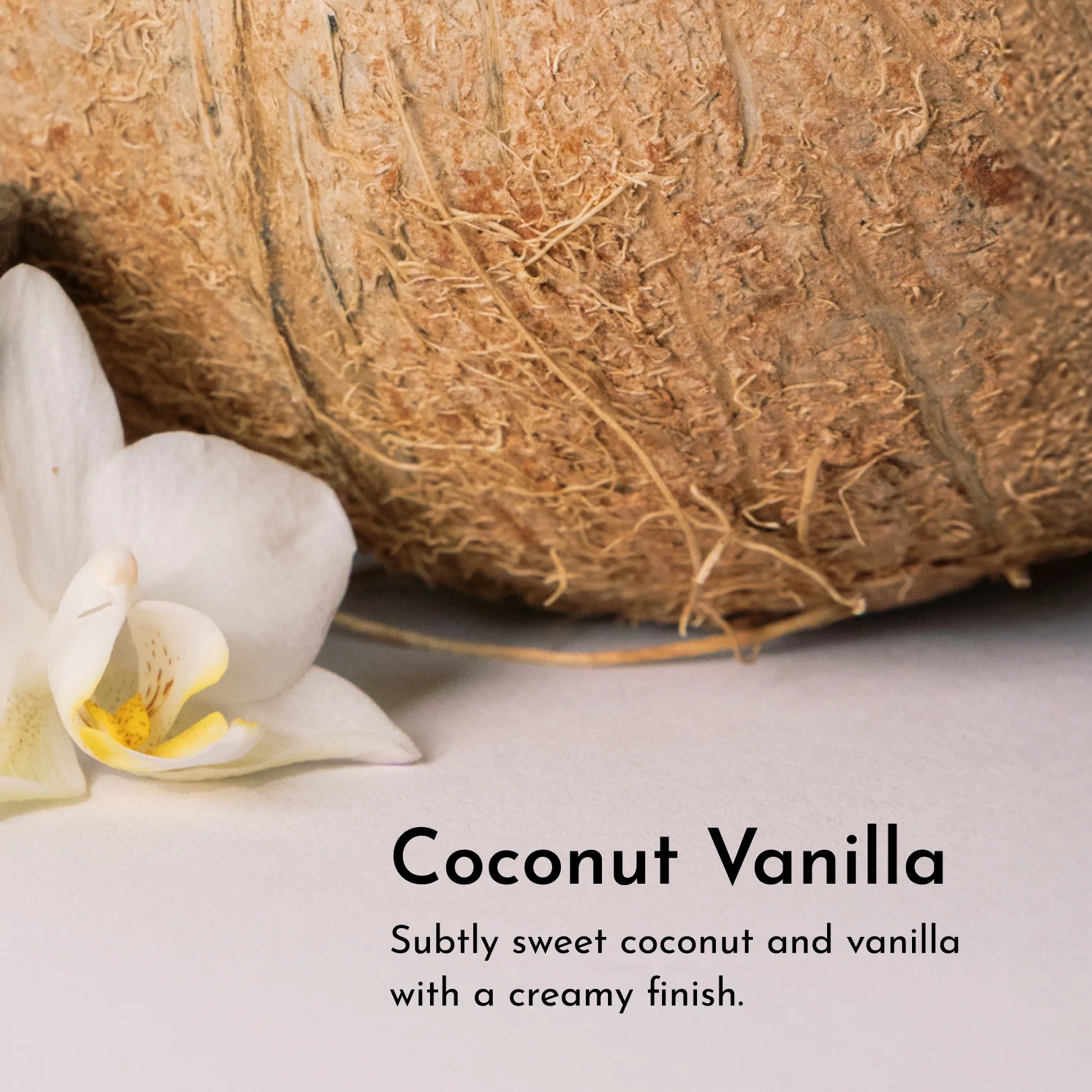 Coconut Vanilla Deodorant - Image 7