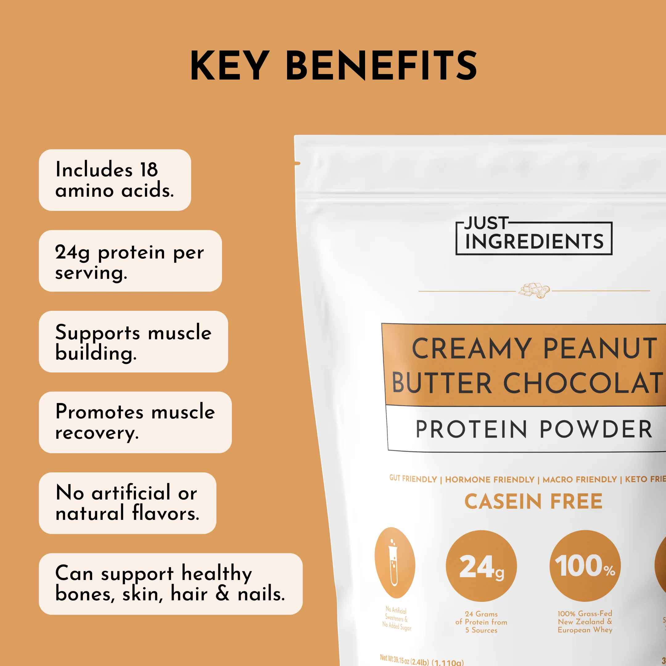 Creamy Peanut Butter Chocolate Protein Powder - Image 8