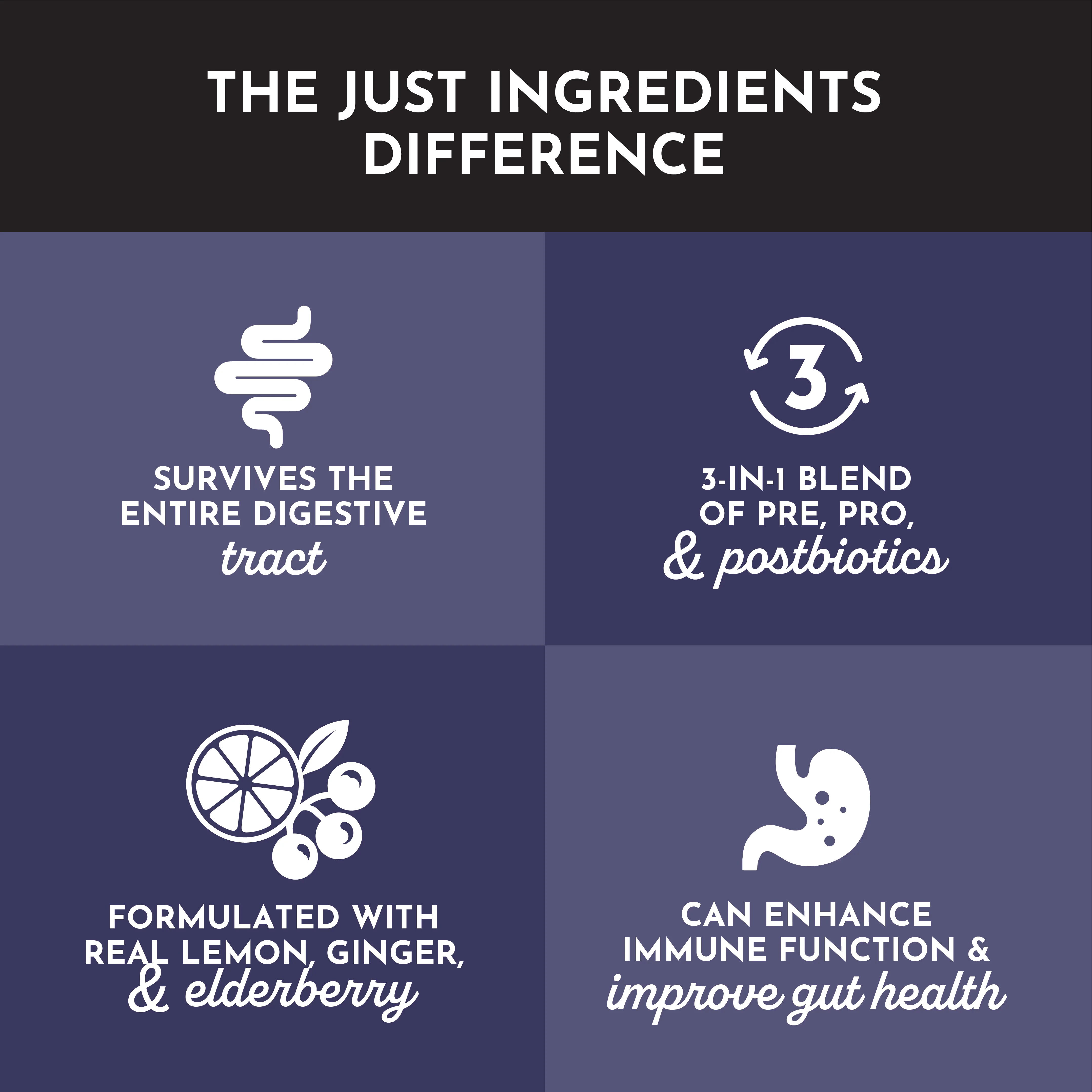 Elderberry Lemonade 3-In-1 Probiotic Complex - Image 4