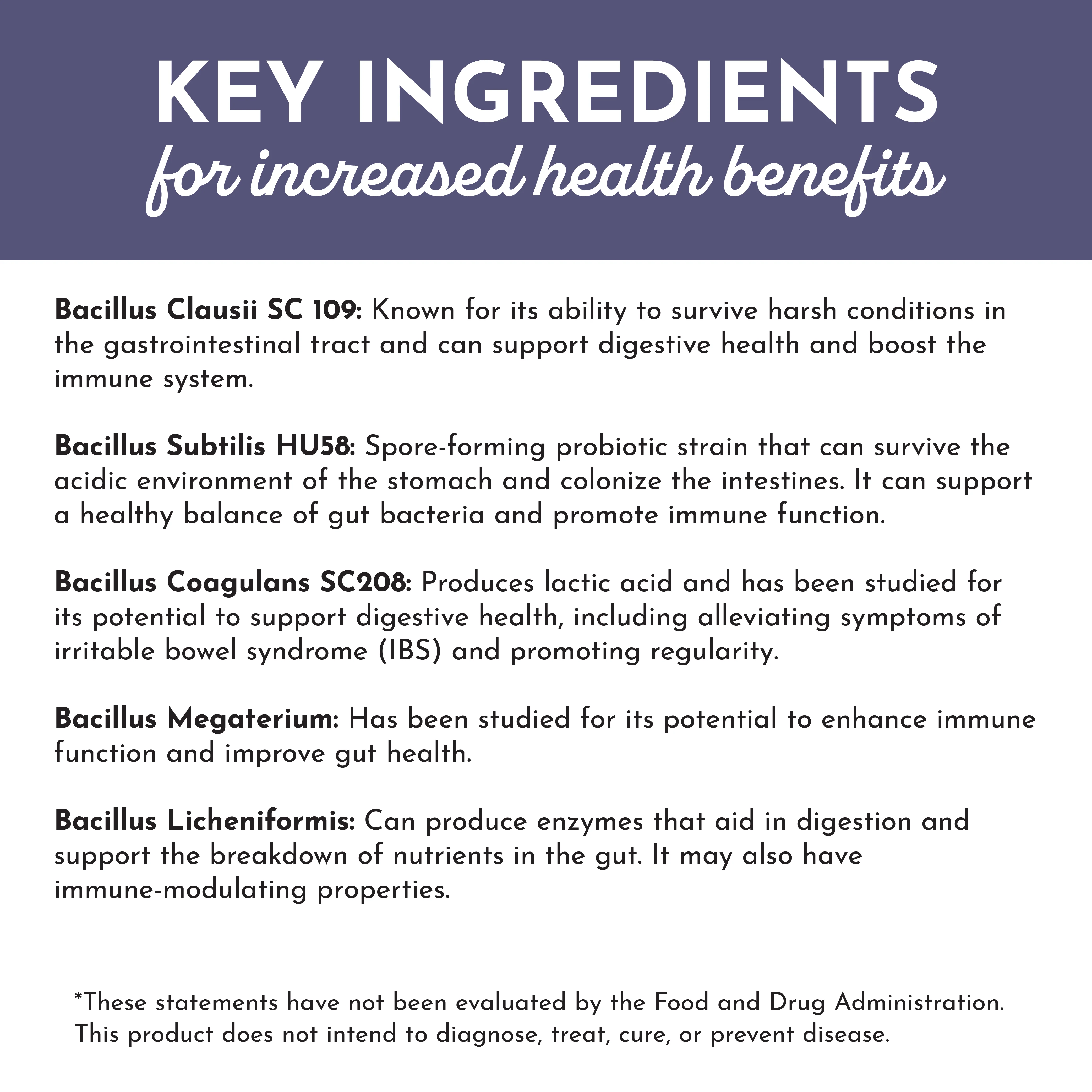 Elderberry Lemonade 3-In-1 Probiotic Complex - Image 5