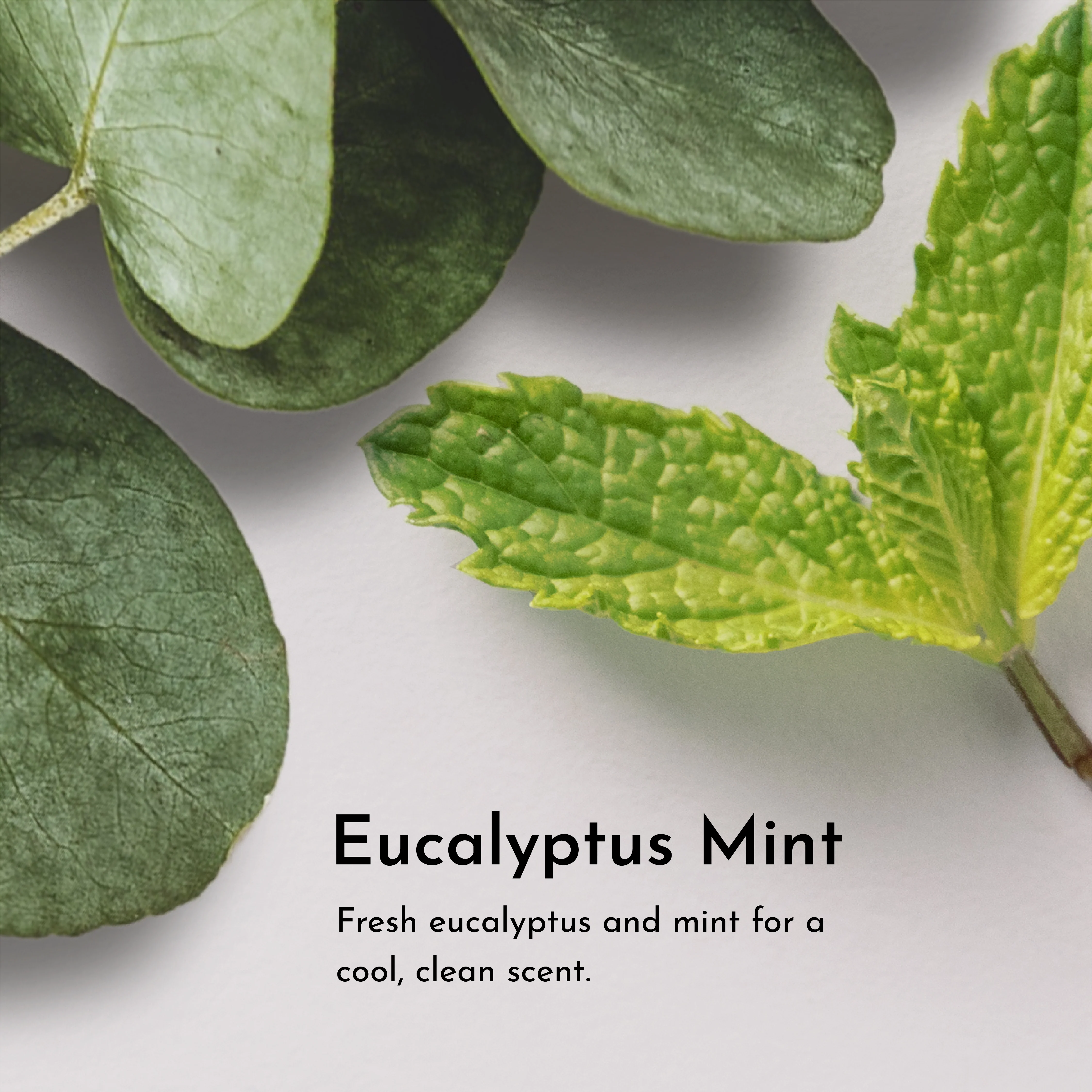 Face Serum Oil - 1 oz - Image 10