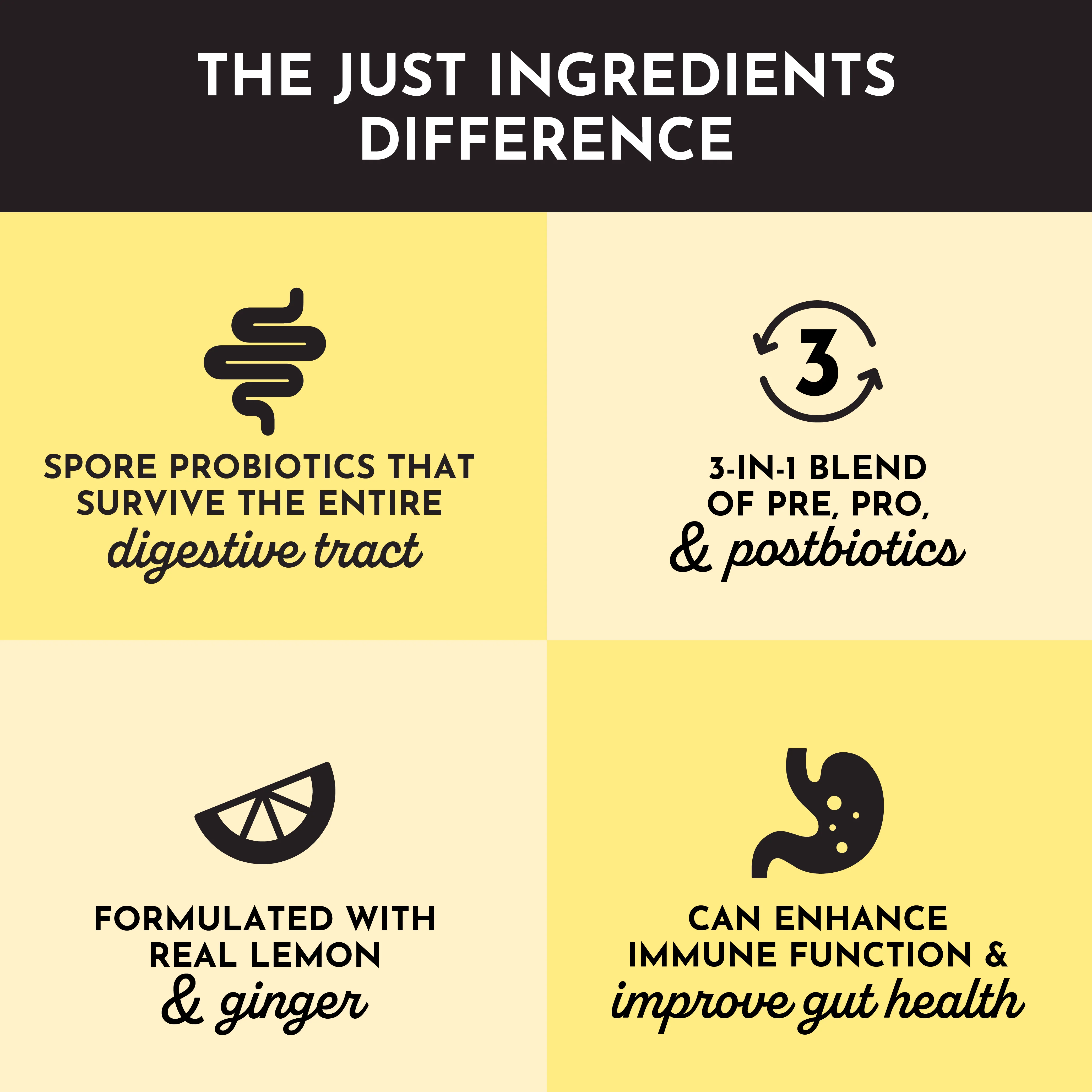 Lemon Ginger 3-In-1 Probiotic Complex - Image 4