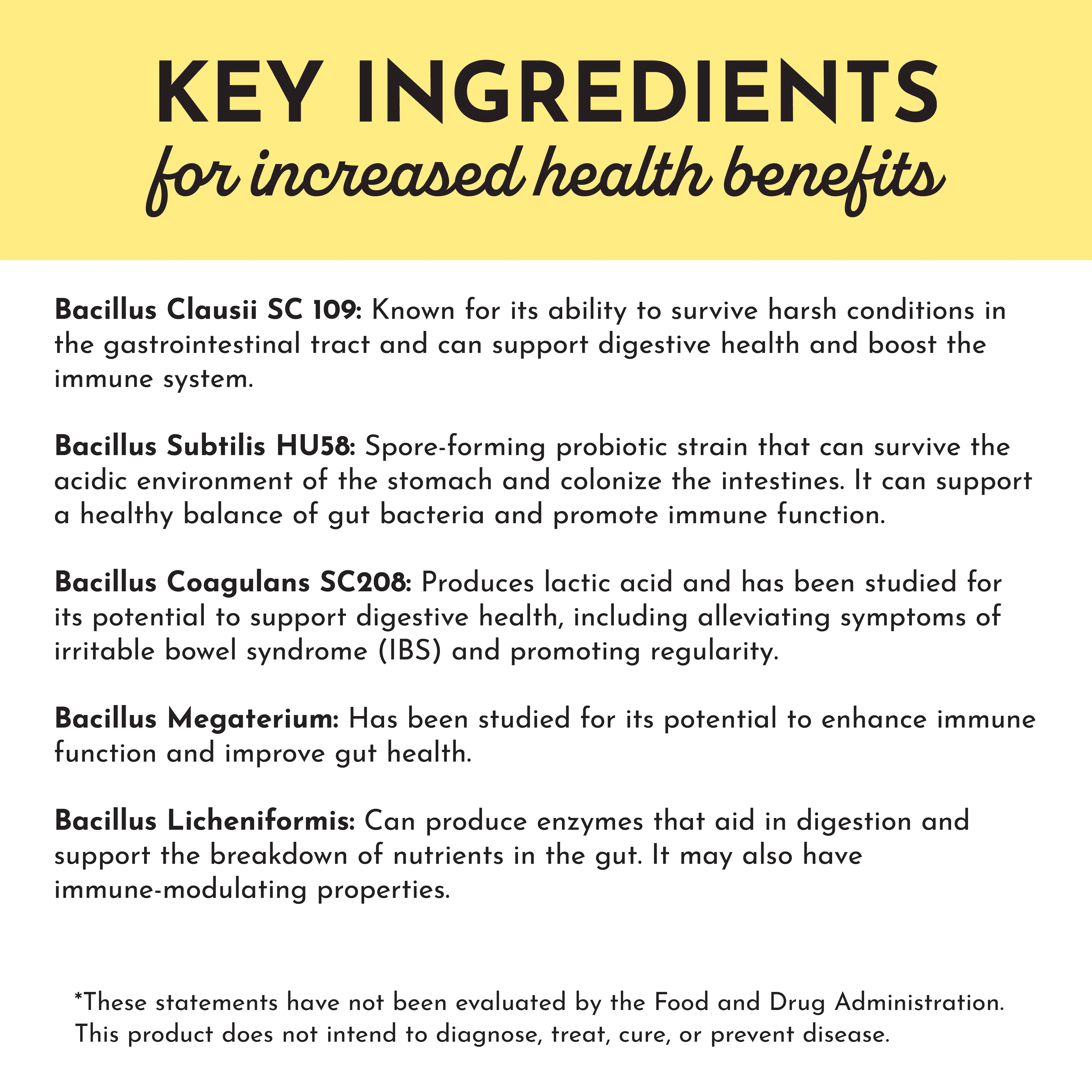 Lemon Ginger 3-In-1 Probiotic Complex - Image 5