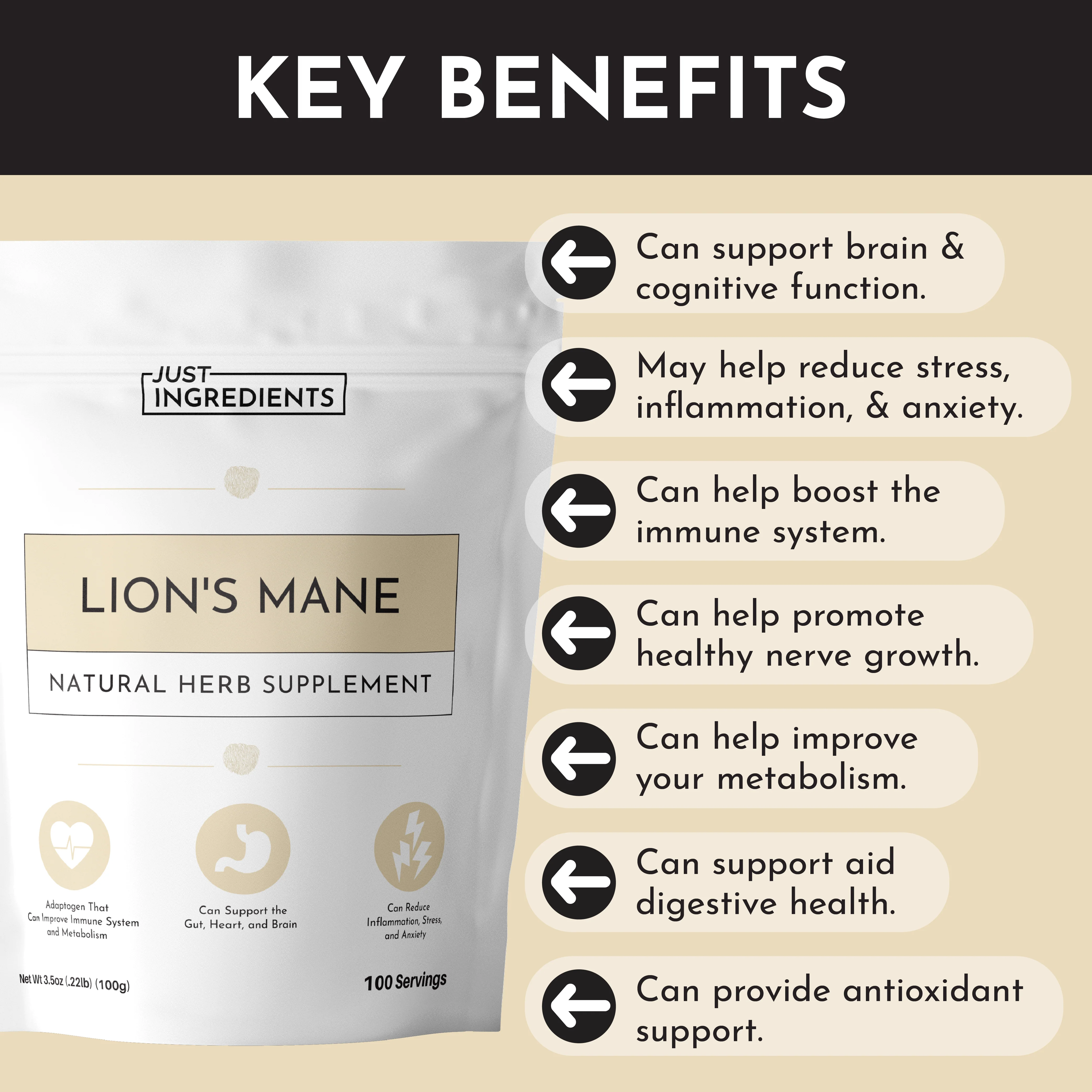 Lion's Mane - Image 4