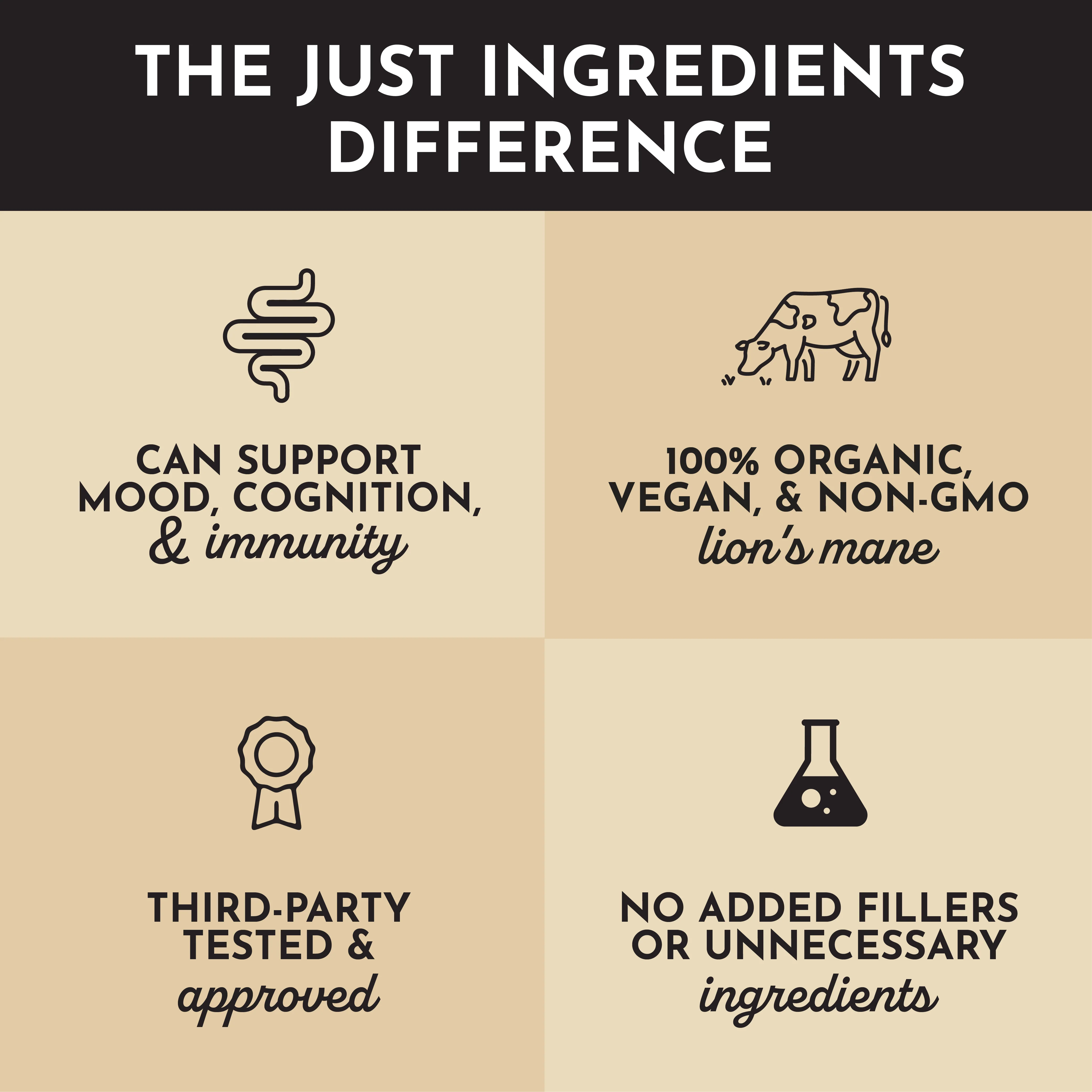 Lion's Mane - Image 5