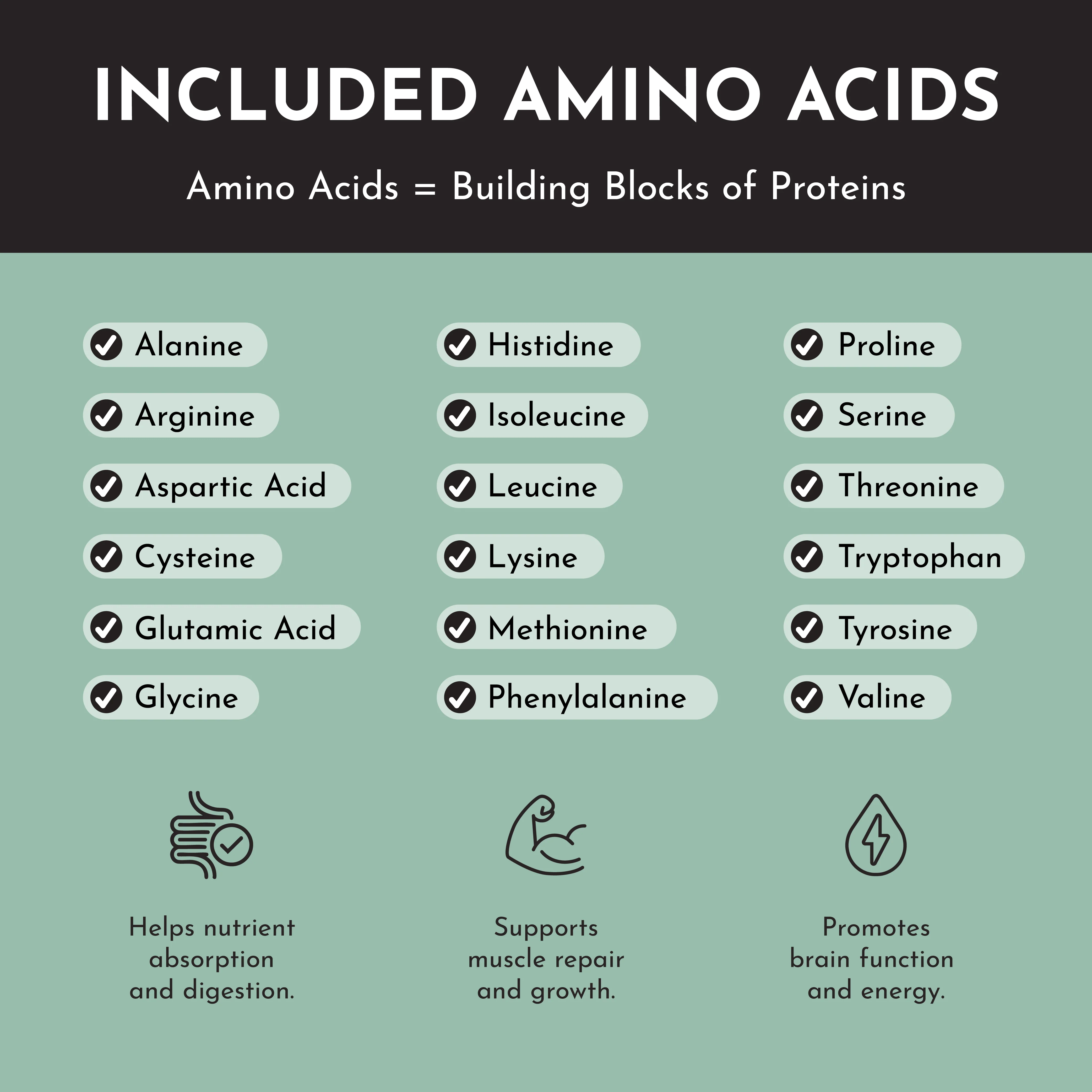 Vegan Mint Chocolate Protein Powder - Image 3