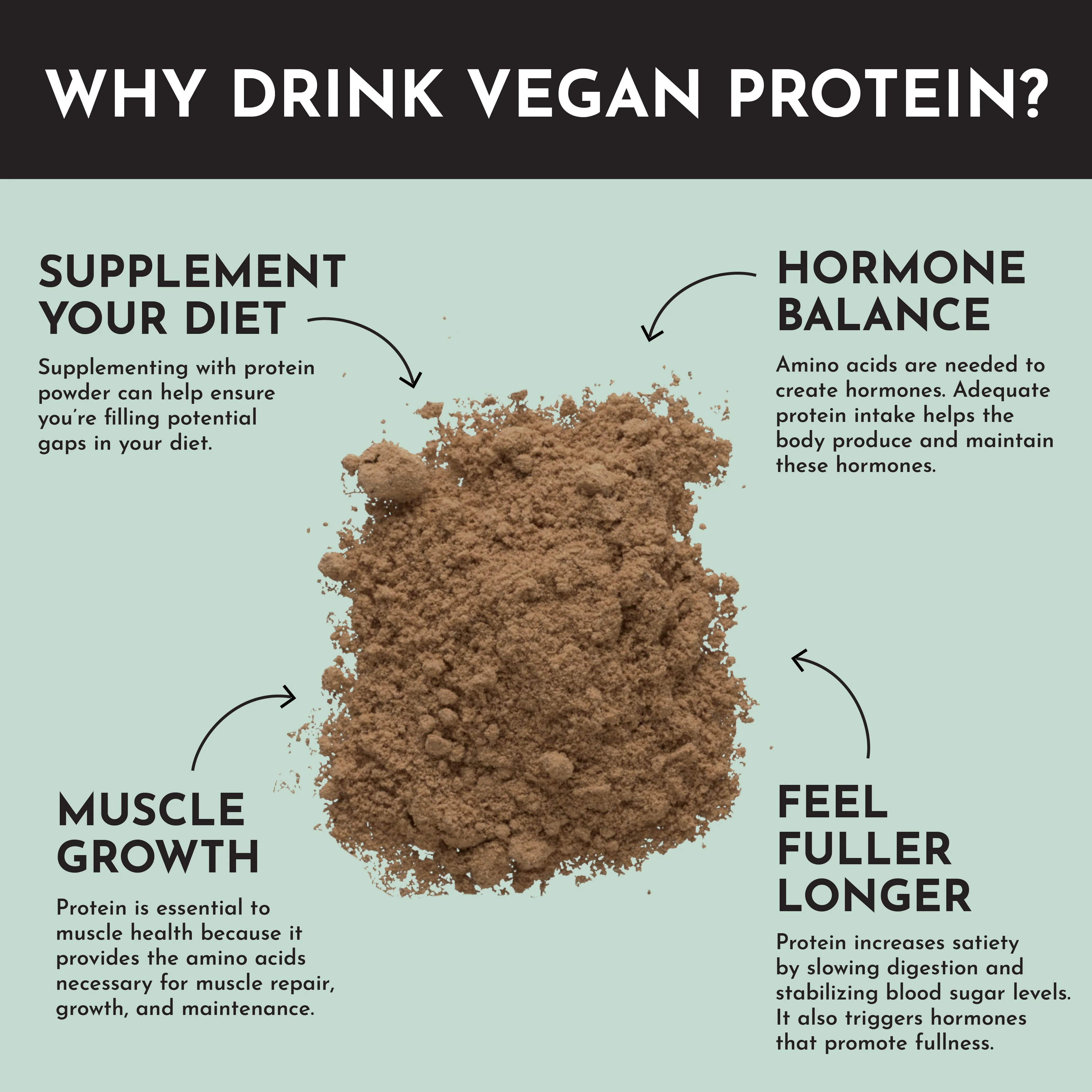 Vegan Mint Chocolate Protein Powder - Image 7