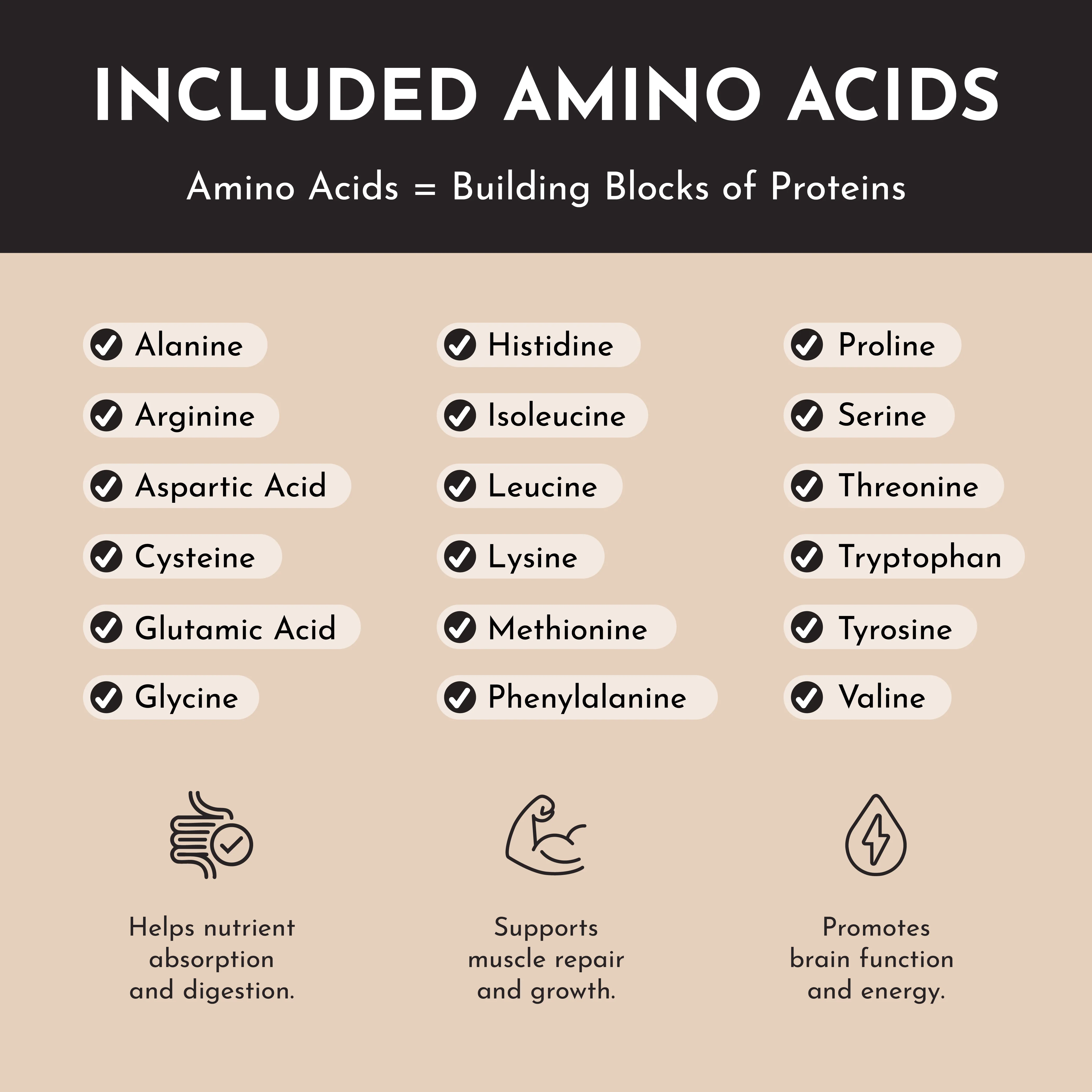 Vegan Snickerdoodle Protein Powder - Image 3