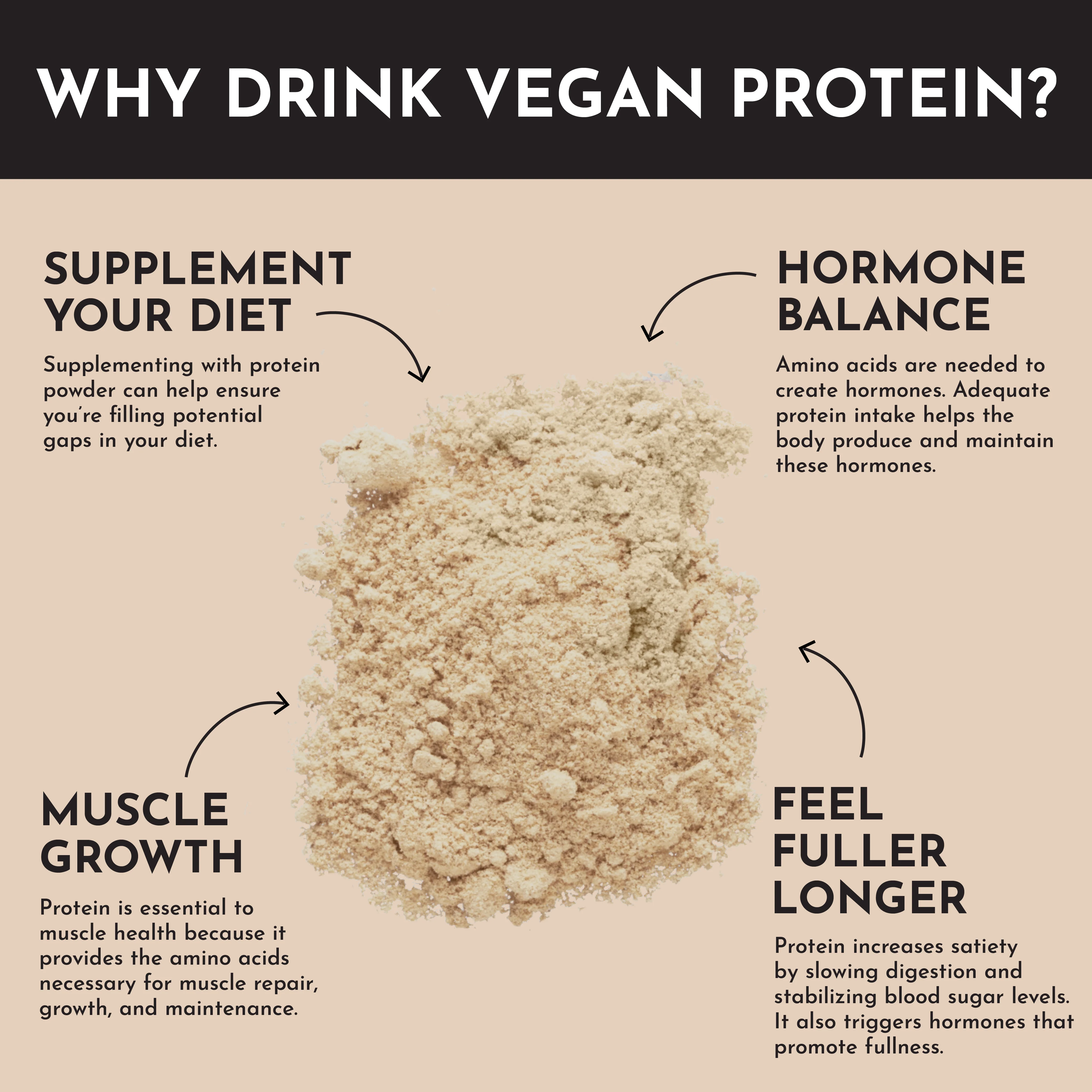 Vegan Snickerdoodle Protein Powder - Image 7