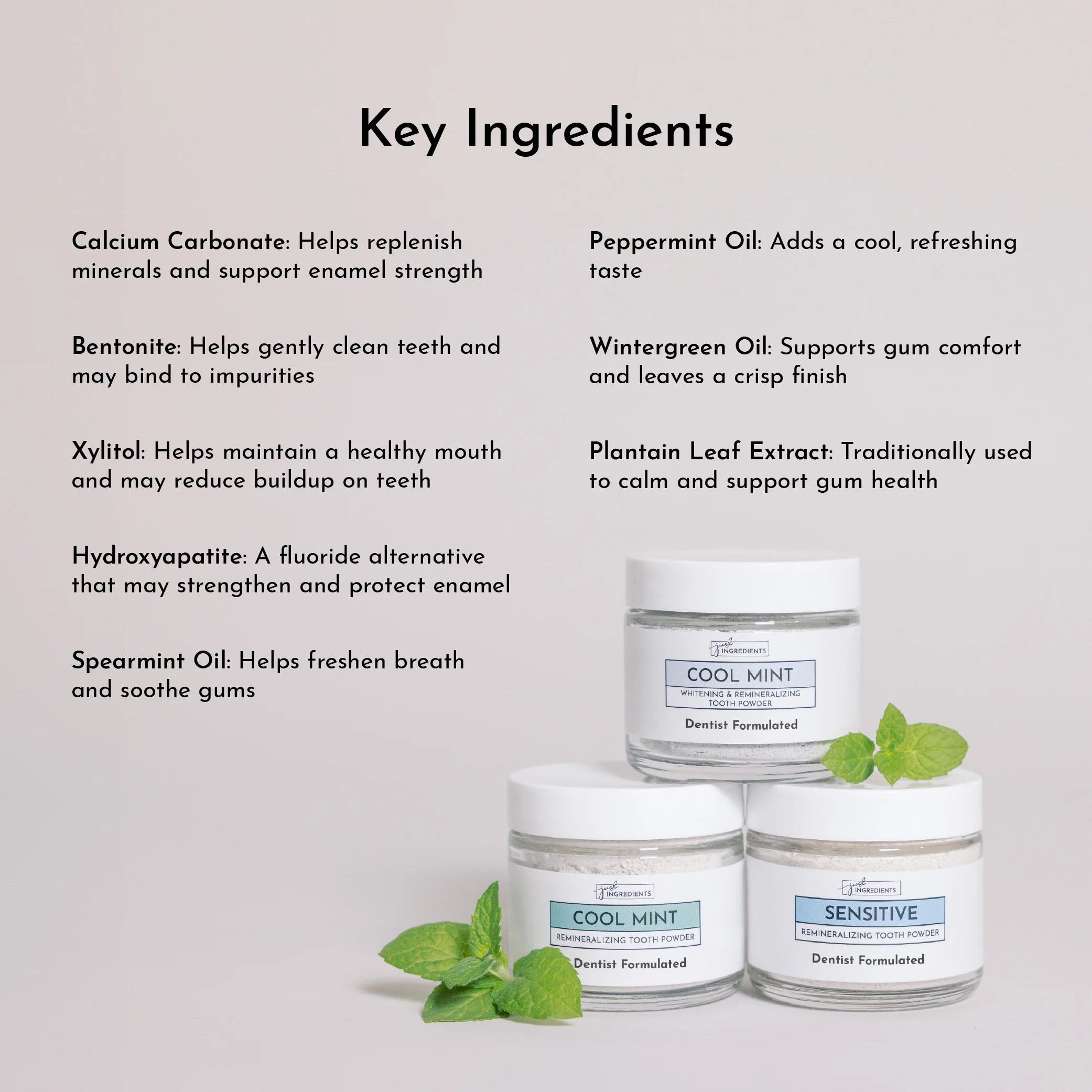 Remineralizing Tooth Powder (Mint) - Image 3