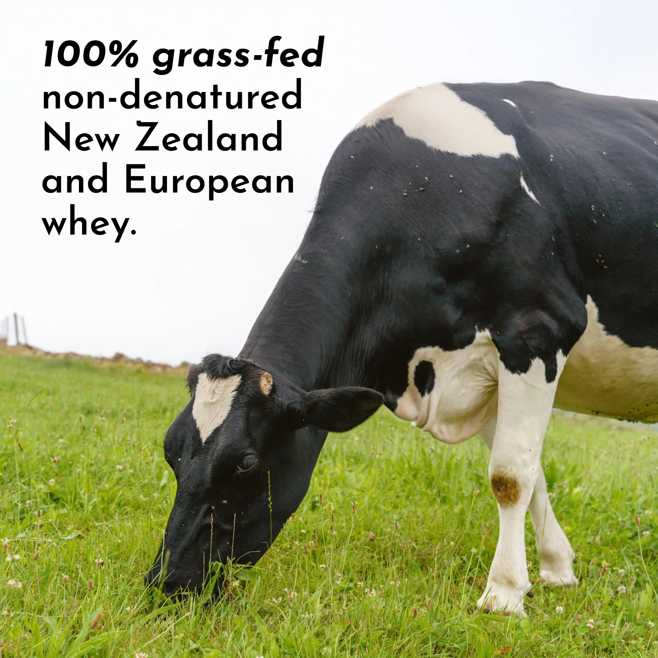 Salted Caramel Protein Powder - Image 4