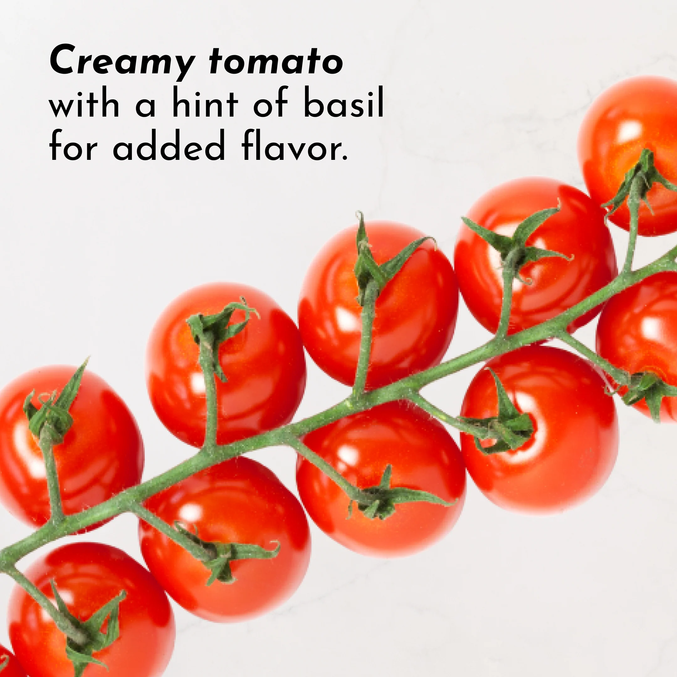 Tomato Basil Bone Broth - Image 9