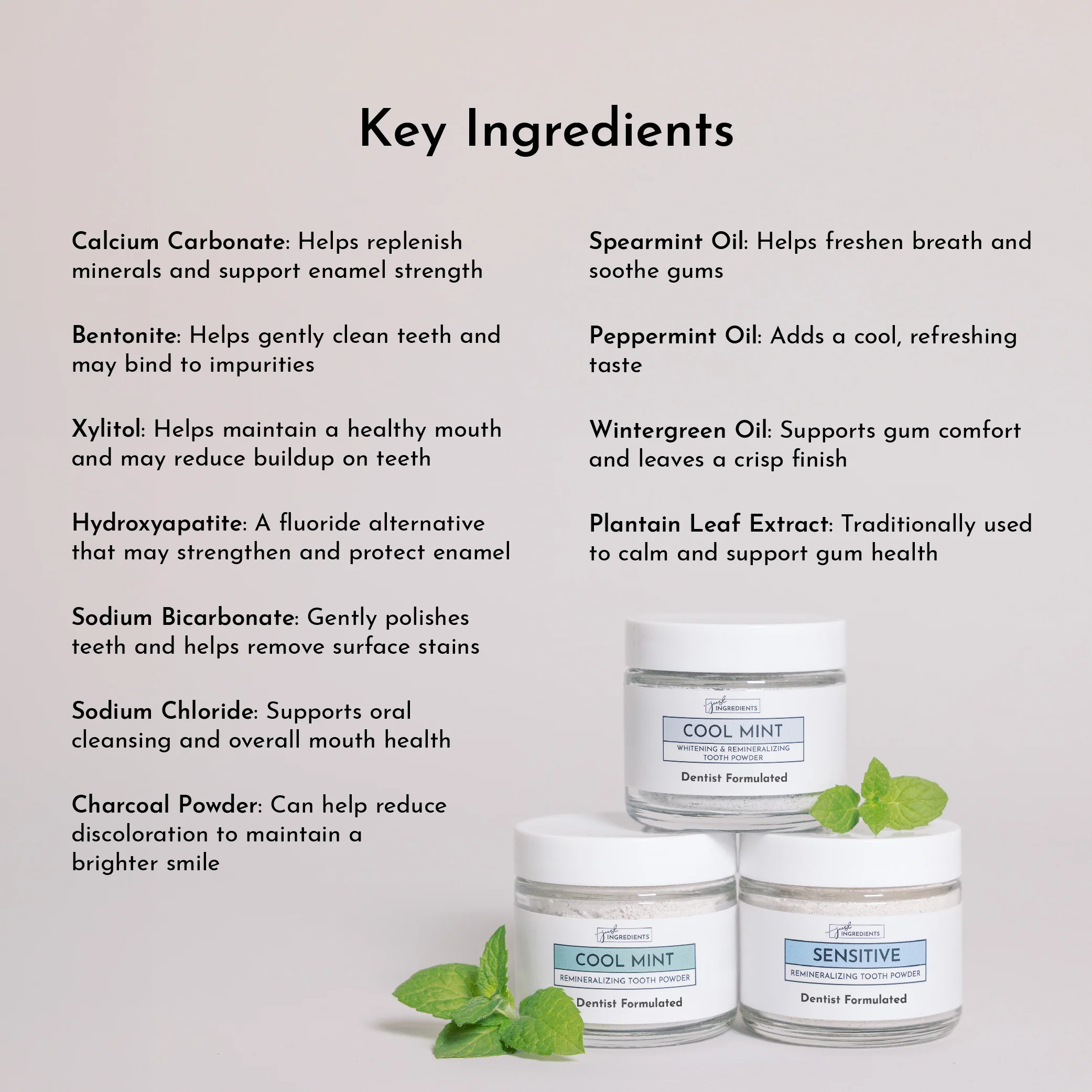 Whitening Remineralizing Tooth Powder (Mint) - Image 3